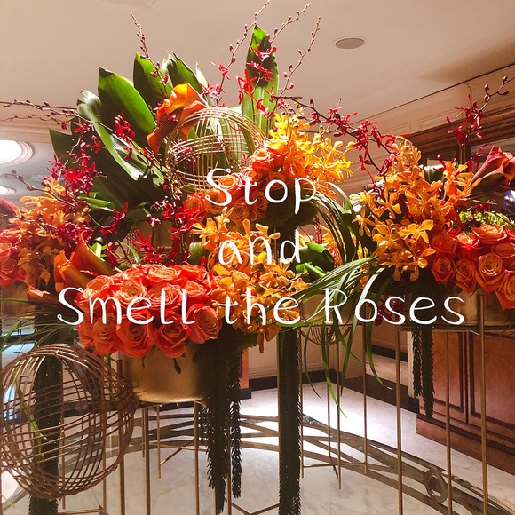 ✨💎🎁 The Luxologist 🎁💎✨ - Picture 4 of 7